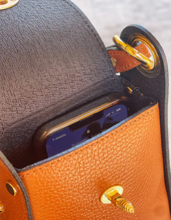 Jijou Capri Bumblebee Leather Crossbody Bag