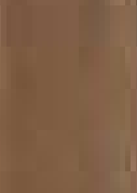 Cashmere Scarf- Solid Color